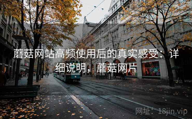 蘑菇网站高频使用后的真实感受:详细说明,蘑菇网片 第2张 蘑菇网站高频使用后的真实感受:详细说明,蘑菇网片 第2张